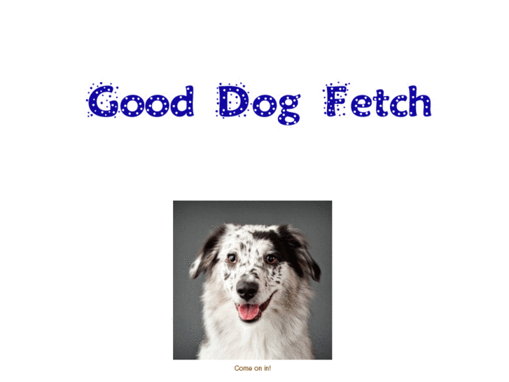 www.gooddogfetch.com