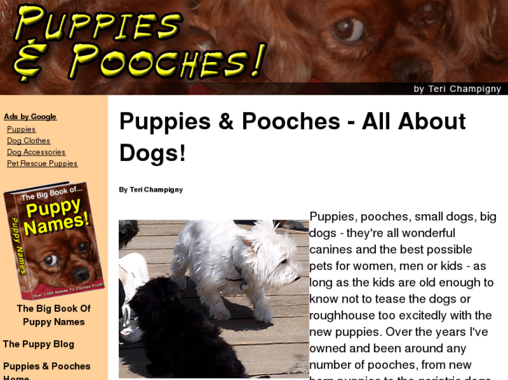 www.puppies-and-pooches.com