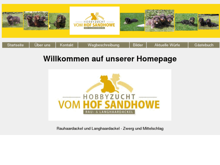 www.sandhowe.com