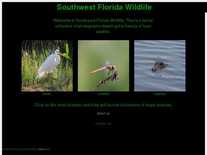 www.swfloridawildlife.com