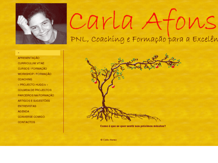 www.carlaafonso.com