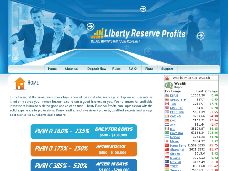 www.libertyreserve-profits.com