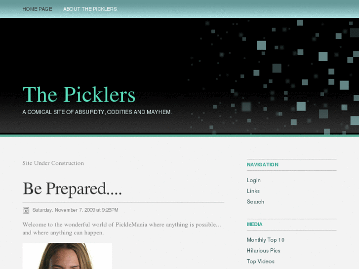 www.thepicklers.com