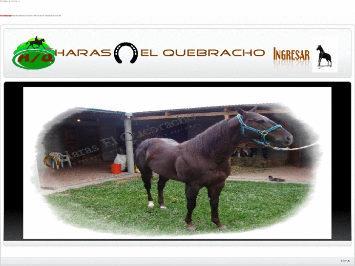 www.haraselquebracho.com