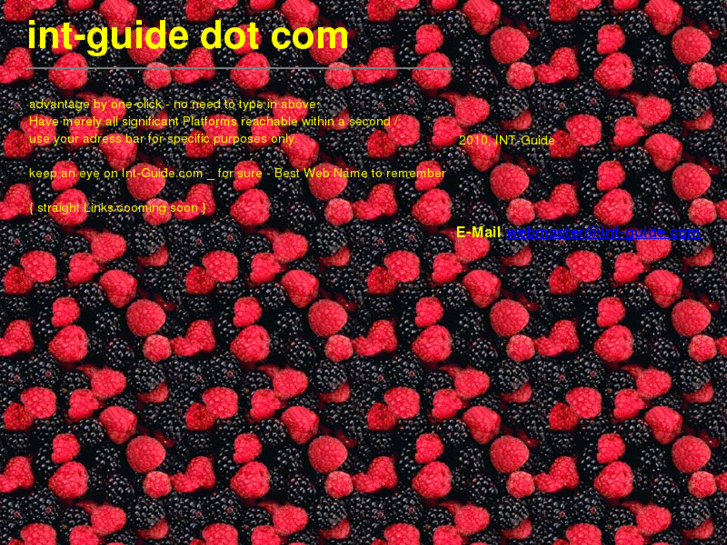 www.int-raw.com