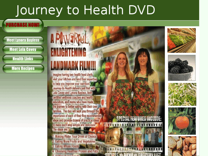 www.journeytohealthdvd.com