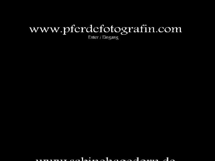 www.pferdefotografin.com