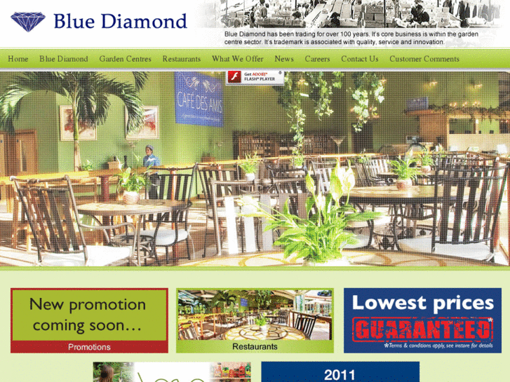 www.bluediamond.gg