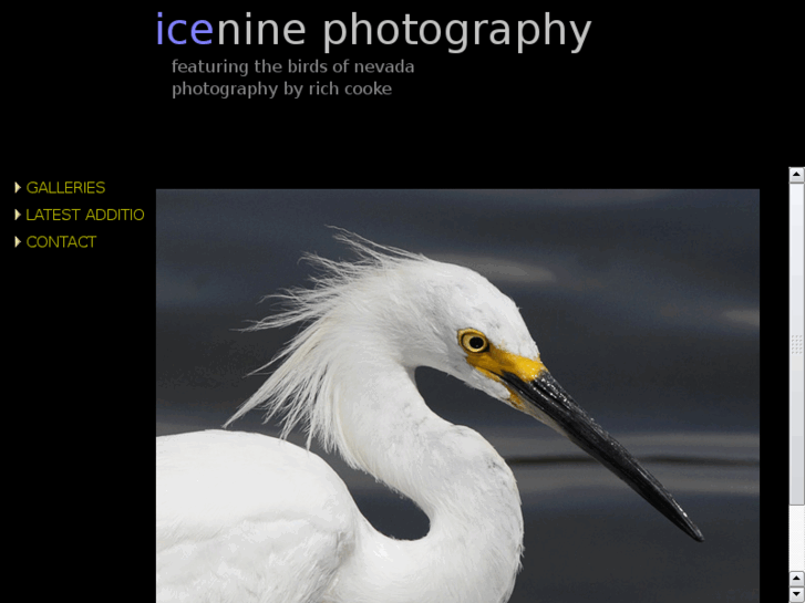 www.iceninephotography.com