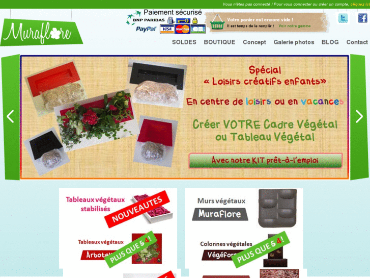 www.muraflore.fr