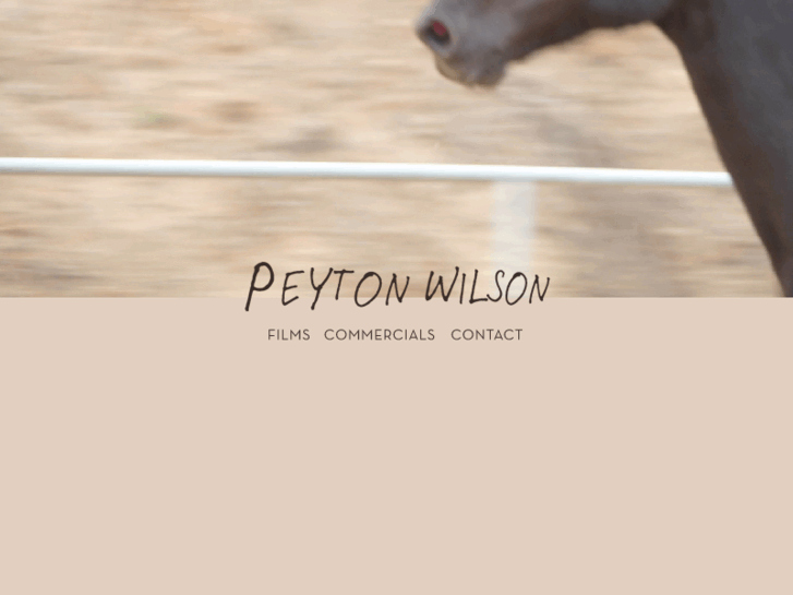 www.peytonwilsondirector.com