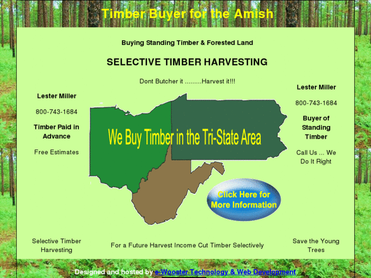 www.selective-timber-harvesting.com