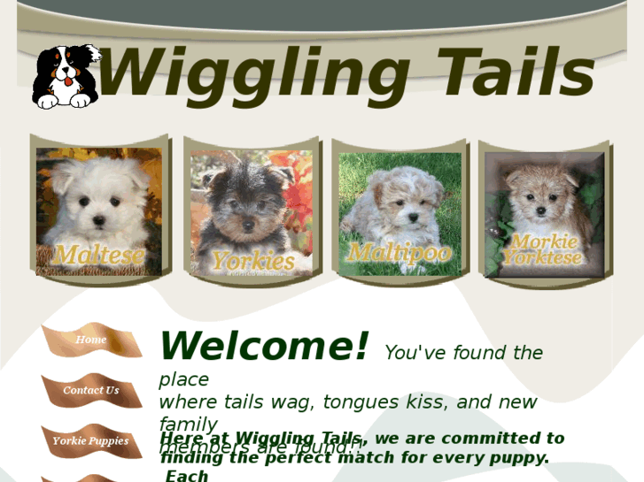 www.wigglingtails.com