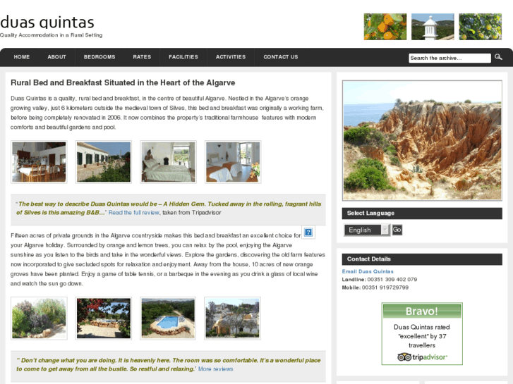 www.algarveguesthouse.com