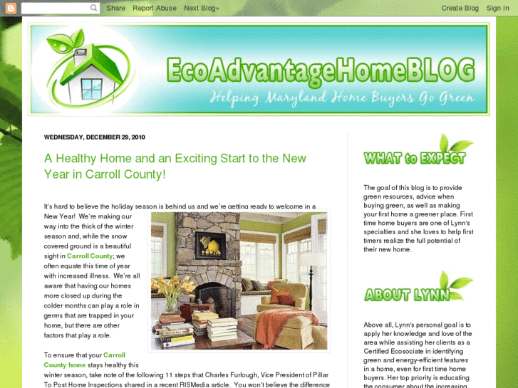 www.ecoadvantagehomeblog.com
