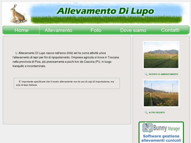 www.allevamentodilupo.com