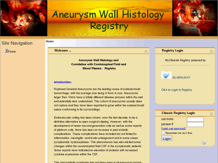 www.aneurysmhistology.com