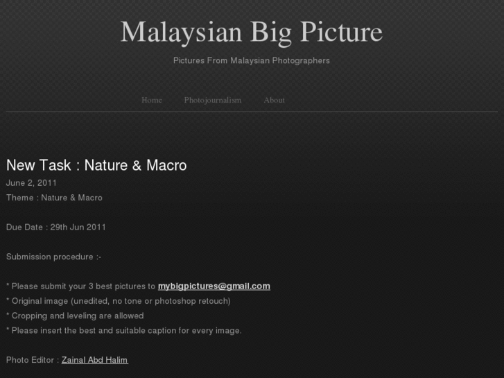 www.malaysianbigpicture.com