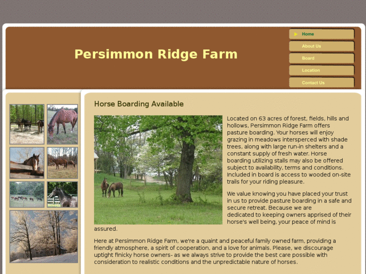 www.thepersimmonridgefarm.com