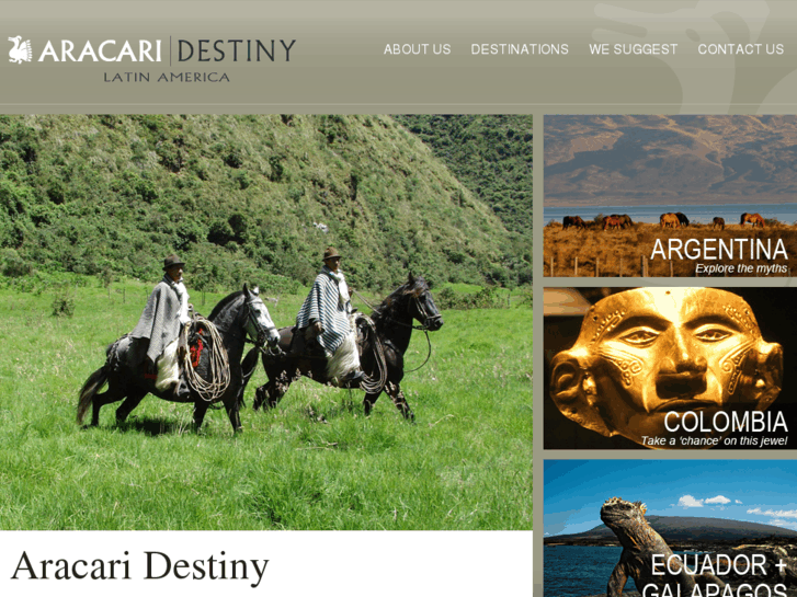 www.aracaridestiny.com