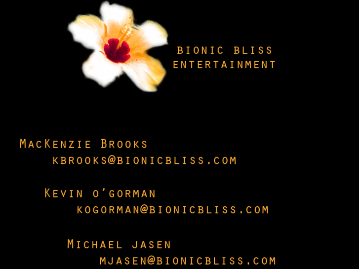 www.bionicbliss.com