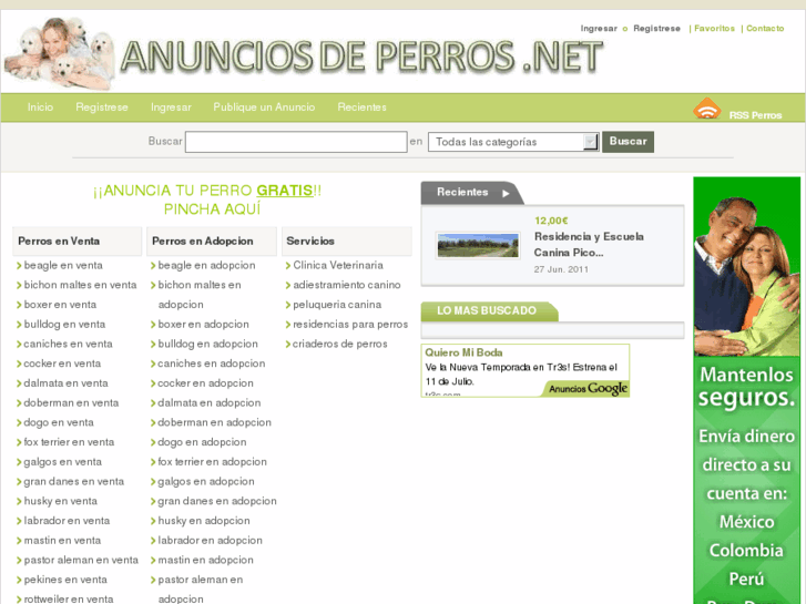 www.anunciosdeperros.net