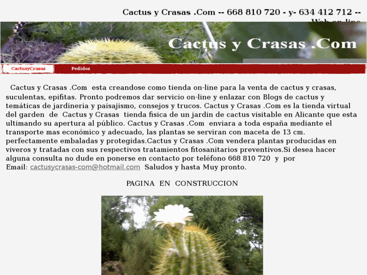 www.cactusycrasas.com