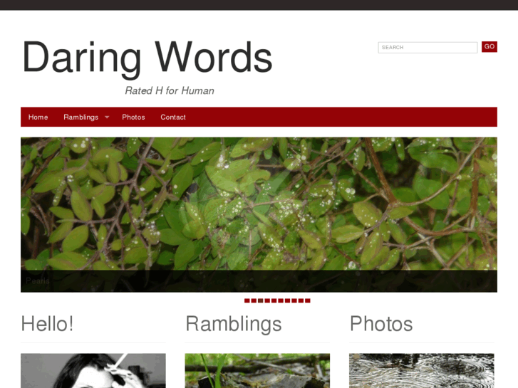 www.daring-words.com