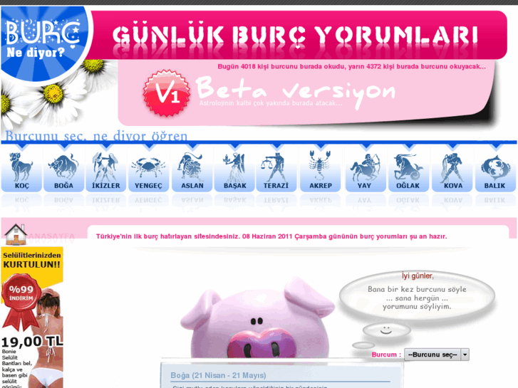 www.gunlukburcyorumlari.com