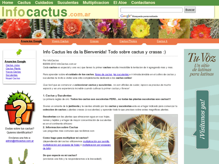 www.infocactus.com.ar