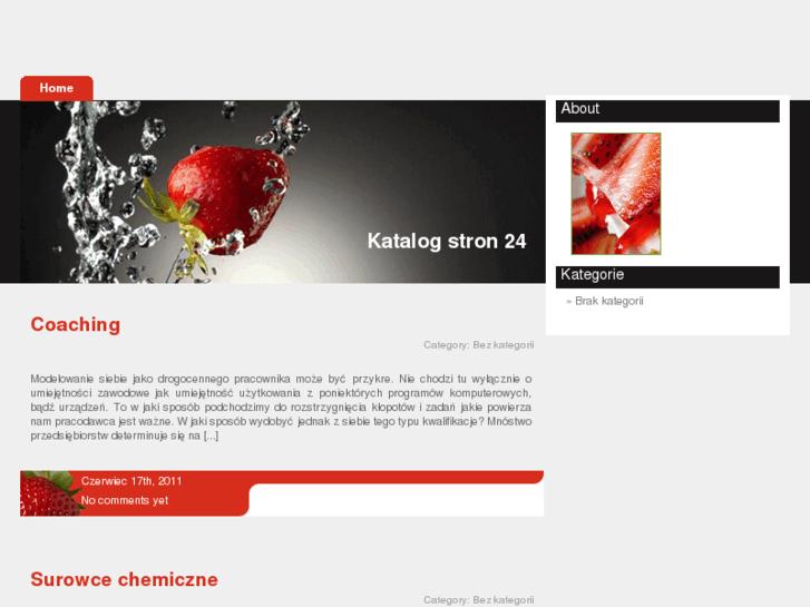 www.katalogstron24.pl