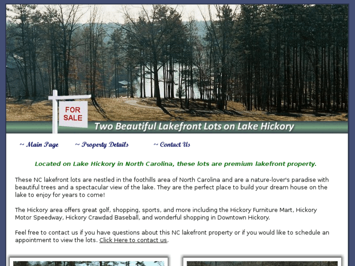 www.lakehickorydreamproperty.com