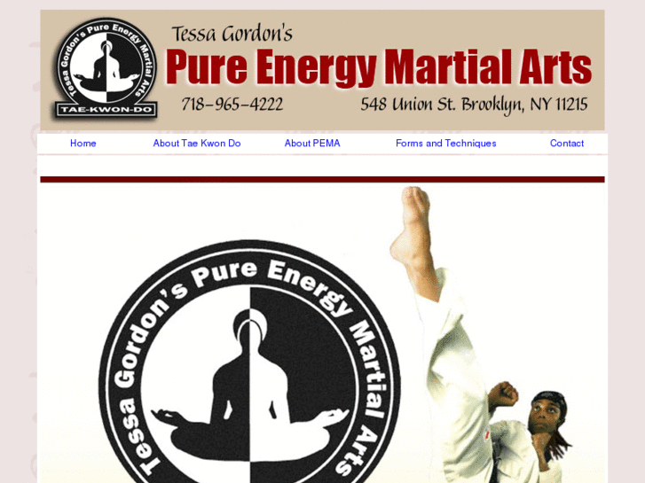 www.pureenergymartialarts.com