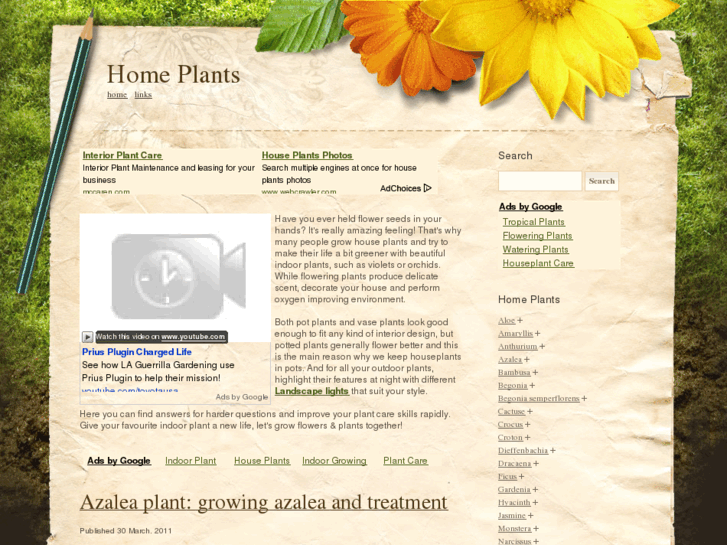 www.thehouseplants.com