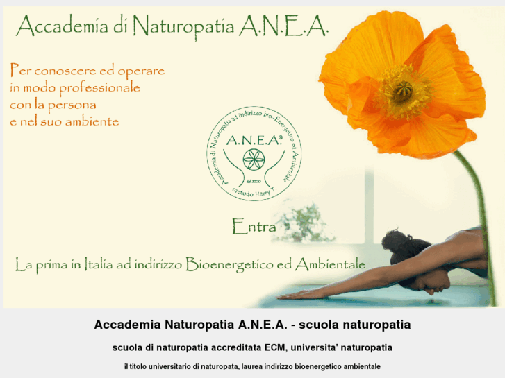 www.accademia-anea.com