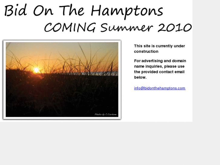 www.bidonthehamptons.com