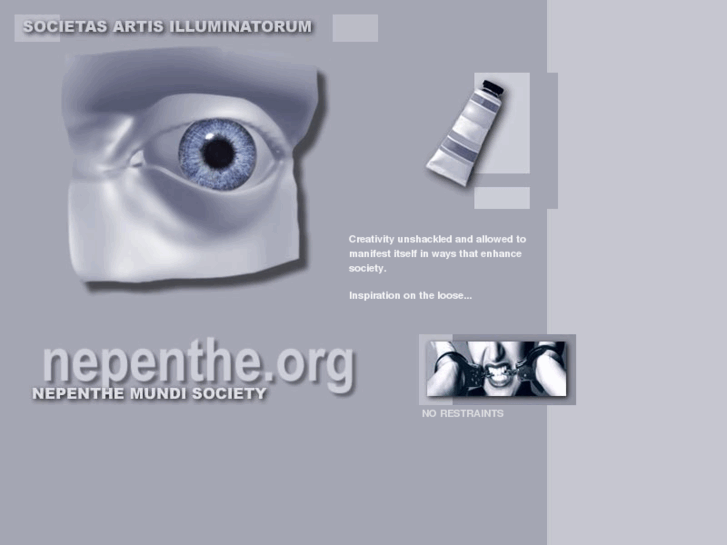 www.nepenthe.org