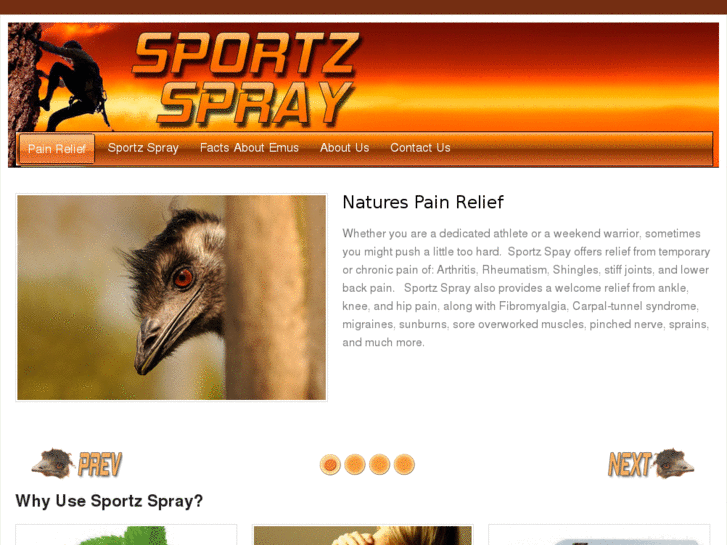 www.sportzspray.com