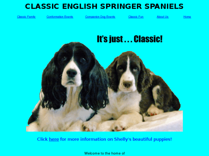 www.classicenglishspringerspaniels.com