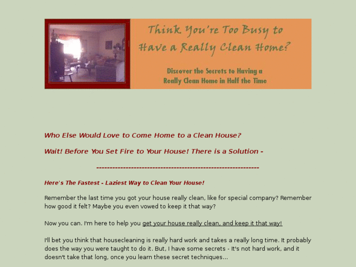 www.howtocleanhousefast.com