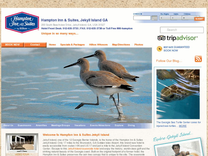 www.jekyllislandhamptoninn.com