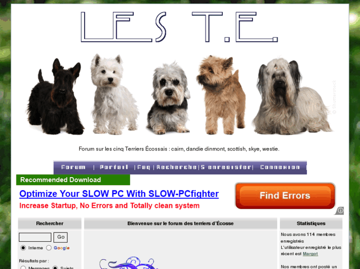 www.terriersdecosse.com