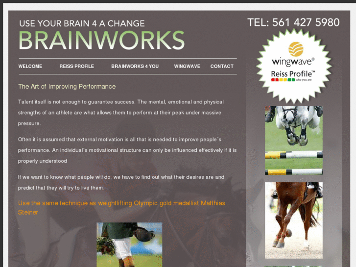 www.brainworks-change.com