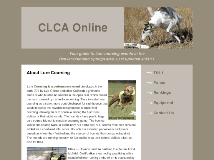 www.clcaonline.com