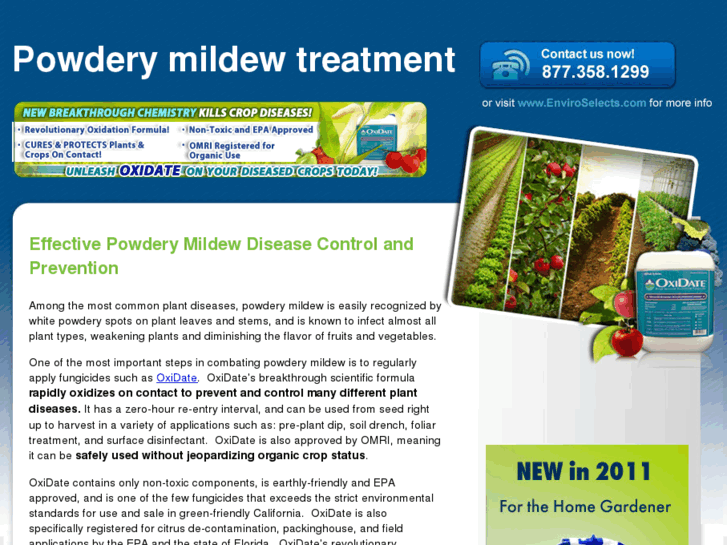 www.controlpowderymildew.info