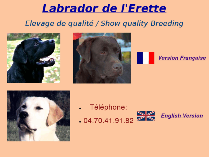 www.erette-labrador.com