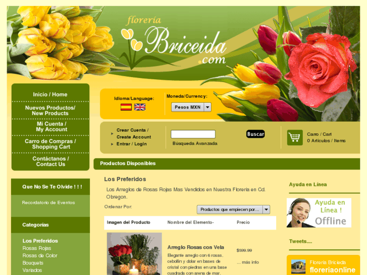 www.floreriabriceida.com