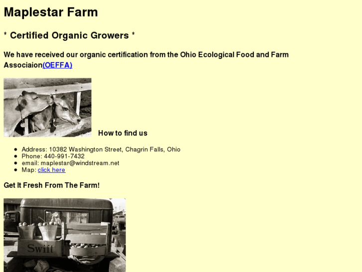 www.maplestarfarm.com