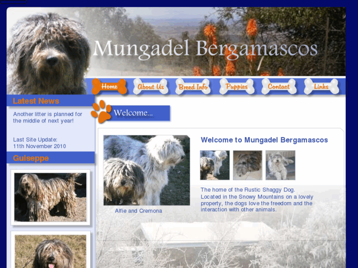 www.mungadelbergamascos.com