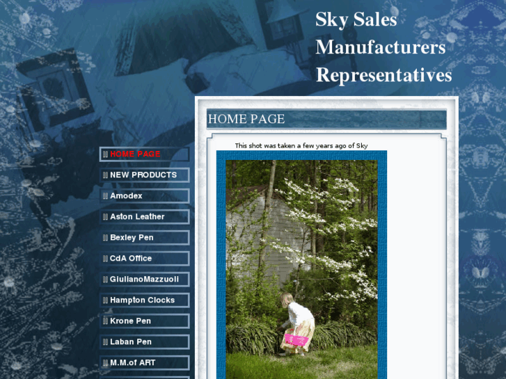 www.skysales.net